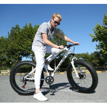 Bicicleta gorda / bici gorda de la playa / bici gorda de la arena / bici gorda / bicicleta T / bici gorda de la nieve